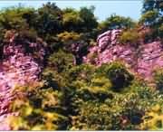 遂平明天天气
